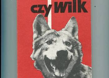 Pies czy wilk - Krystyna Chwedeńczuk