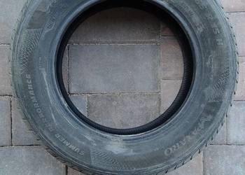 OPONY Letnie Paxaro Summer Performance 195/65R15