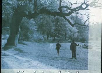 Mój ojciec i dęby - Arkady Fiedler