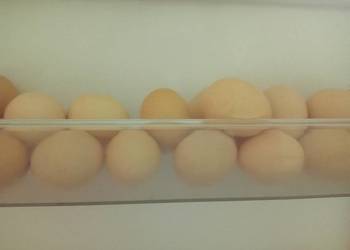 Jaka Jajka wiejskie z wolnego wybiegu