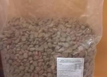 Karma sucha dla psów dorosłych Dino Wołowina 20 kg + KURIER