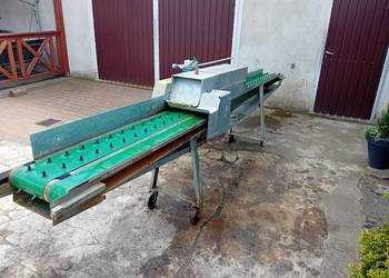 Sortownica, maszyna do sortowania szparagów i innych warzyw