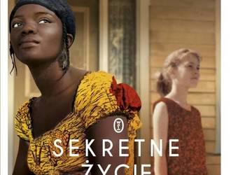 Sekretne życie pszczół - Sue Monk Kidd