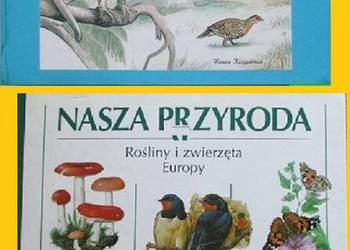 Nasze ptaki -Turyn/Nasza przyroda -rośliny i zwierzęta Europy/przyroda