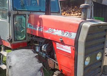 Ferguson  675