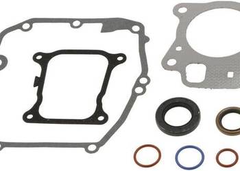 Zestaw uszczelek silnika 597320