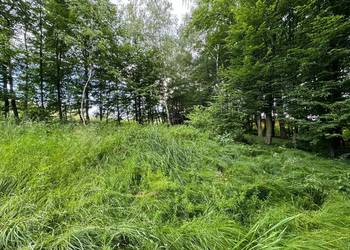 działka budowlana obok jeziora Żywiec