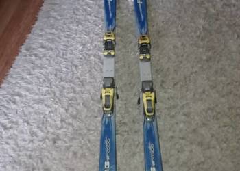 Narty Firebird carving z wiązaniami dł. 170 cm