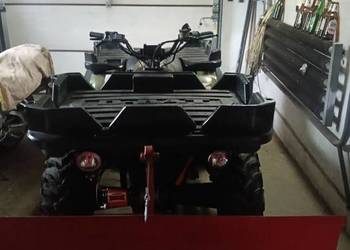 Quad polaris D-Bat diesel