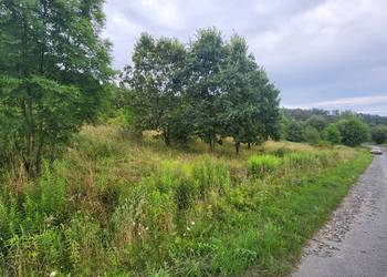 Działka niezabudowa, Jaszkówka, gm. Kłodzko