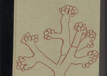 Rośliny zarodnikowe - Podbiełkowski