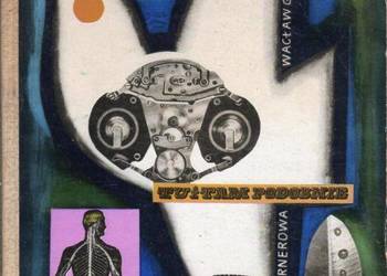 TU I TAM PODOBNIE - GOŁEMBOWICZ WERNEROWA