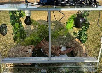 Terarium dla gekona lamparciego. Odbiór osobisty.