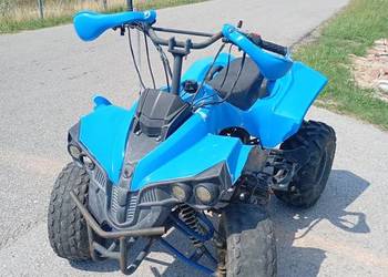 Quad Bombardier 110