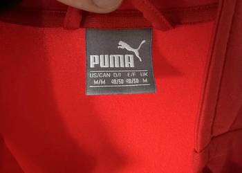 Męska bluza Puma M