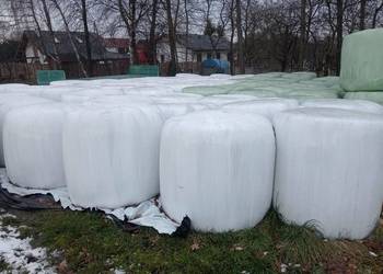 Sianokiszonka z trawy, trawy z koniczyną, grochu z owsem, żyta z trawą