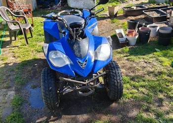 Eton Vector 250 zarejestrowany zamiana