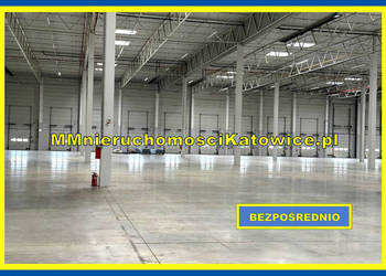 Lokal na wynajem Piotrków Trybunalski 10400m2