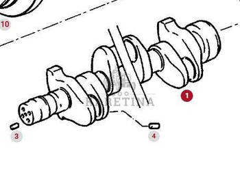 Fendt Favorit 514 Wał Korbowy 6 Cylindrowy CZĘŚCI F312200310010
