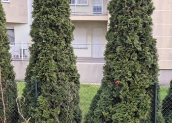 MIESZKANIE PIĄTKOWO