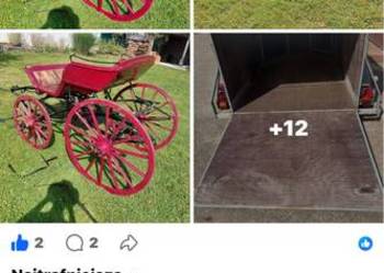 Sprzedam unikatową wagonetké-dorożkę