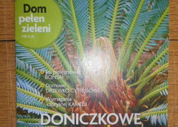 Dom pełen kwiatów - Doniczkowe rarytasy - nr 4 (4)
