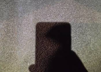 Sprzedam przenżyto ozime atletus