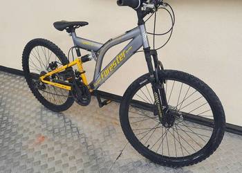 Rower FORESTER SPORT