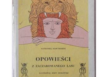 Opowieści z zaczarowanego lasu - Hawthorne Nathaniel