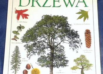 Drzewa. Mini encyklopedia - Theresa Greenaway