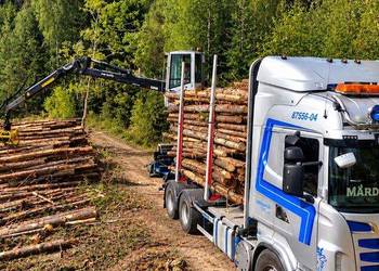 Drewno opałowe w wałkach 2,5 m | Transport HDS