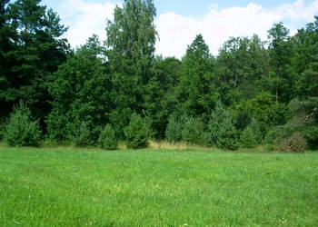 Działka pod zabudowę jednorodzinną w okolicy Ełku