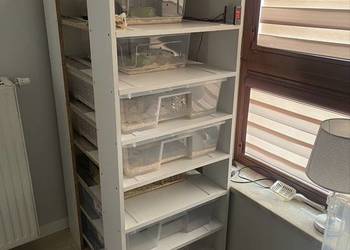 Rack System na Samle z Ikei