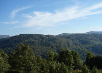 Brenna 2,53 ha działka inwestycyjna blisko wyciągu