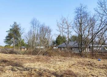 Działka budowlana i usługowa Michałów Reginów