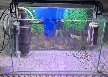 Sprzedam akwarium 40x20 !!Opis!!