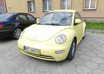Volkswagen Beetle 1,9TDI 90km