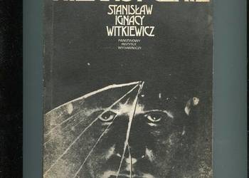 Nienasycenie - Witkiewicz