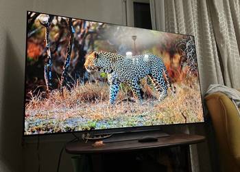 Telewizor LG 55” OLED evo 4K 120Hz HDR ze sztuczną inteligencją