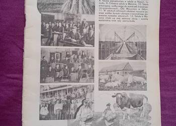 Miesięcznik Plon, nr 12 z 1937 r. Rok IV.