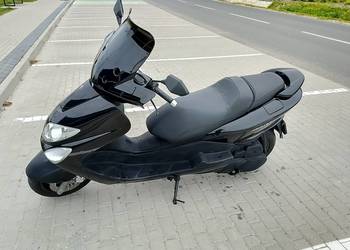 Sprzedam Yamaha Majesty 125.! (YP, MBK, Skyliner.cygnus)!  Kat B". Polecam!
