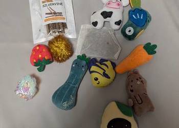 Zabawki dla kotów Poduszka z kocimiętka 10 Catnip Stick