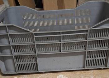 Skrzynki plastikowe 20kg