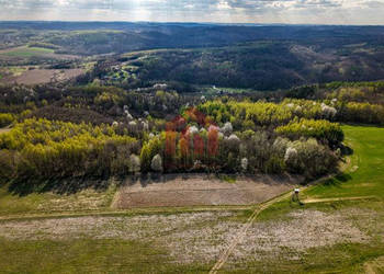 Działka 4836m2 Hadle Kańczuckie