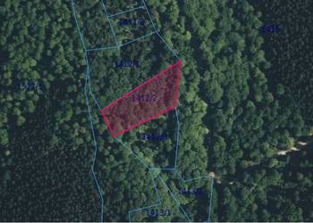 Sprzedam Las Przysietnica