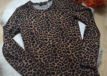 Dzianinowa bluzka w panterkę Mohito roz.S Dzianinowa bluzka w panterkę Mohito roz.S
