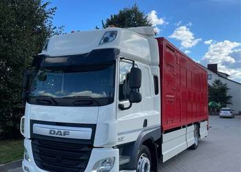DAF CF 370 do żywca, zwierząt