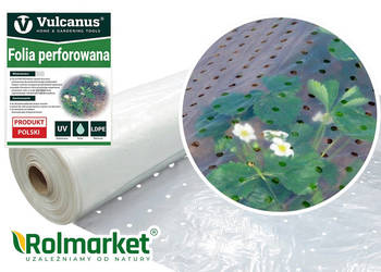 Folia perforowana dziurkowana 3,2m do truskawek ziemniaków ogórków