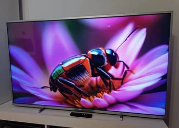 Telewizor PHILIPS 65PUS6554/12 65" LED 4K Smart TV HDR10 DVB-T2