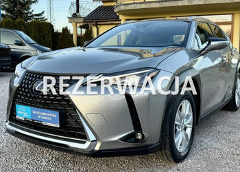Lexus UX 250h,Hybryda,Idealny,Gwarancja